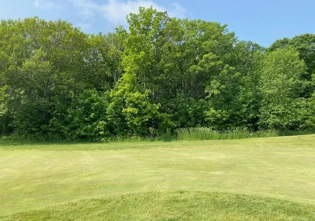 1st image of # 8 Mooney Way, Kewadin, MI 49648 | MLS# 78080055196
