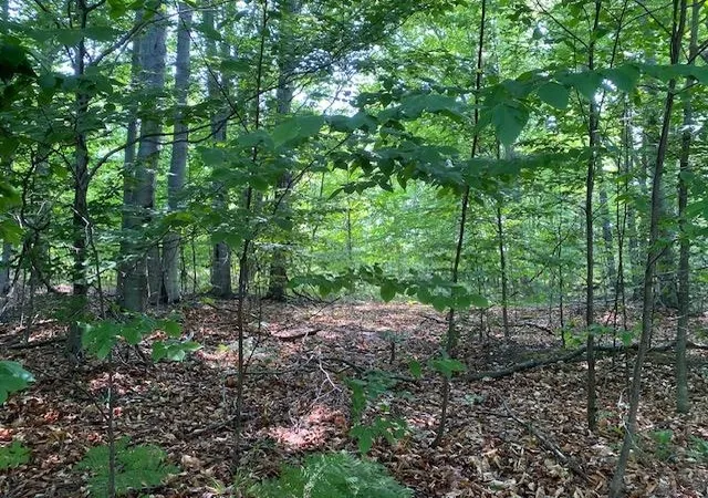 4th image of # 8 Mooney Way, Kewadin, MI 49648 | MLS# 78080055196