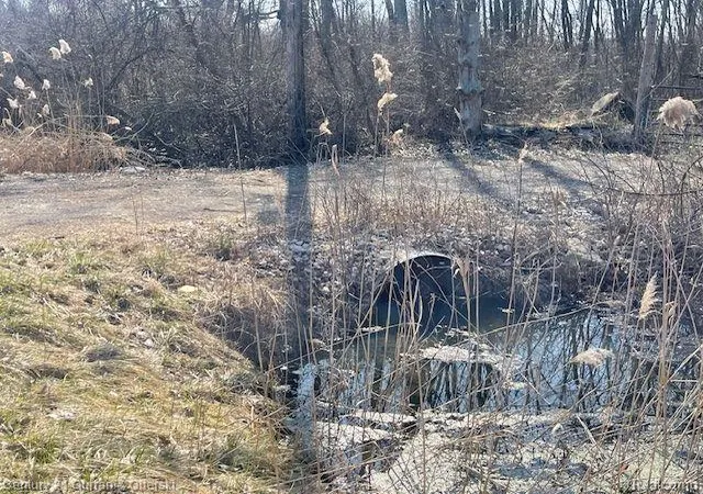 Photo 3 of Land for sale at Vacant Wahrman, Romulus, MI 48174 | MLS# 20250021826 | Listing updated on 2026-01-06