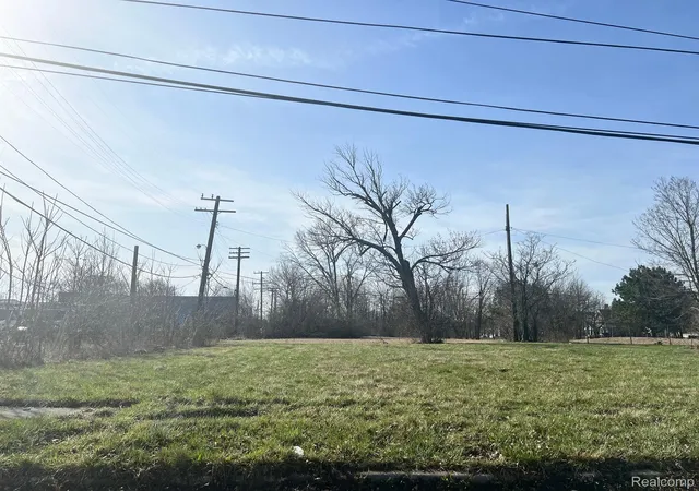 Photo 3 of Land for sale at 1925 Merrick St, Detroit, MI 48208 | MLS# 20250022276 | Listing updated on 2026-03-25