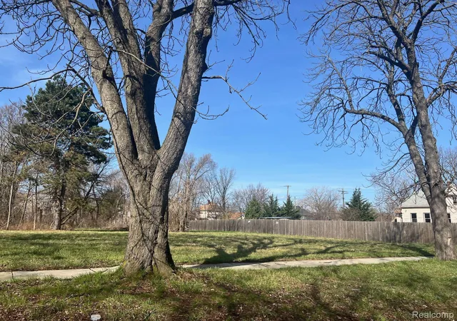 Photo 3 of Land for sale at 3555 Lovett St, Detroit, MI 48210 | MLS# 20250022277 | Listing updated on 2026-03-25
