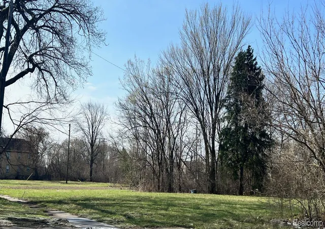 Photo 2 of Land for sale at 5131 Bangor St, Detroit, MI 48210 | MLS# 20250022284 | Listing updated on 2026-03-25
