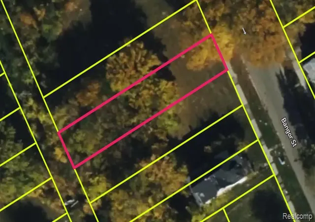 Photo 4 of Land for sale at 5131 Bangor St, Detroit, MI 48210 | MLS# 20250022284 | Listing updated on 2026-03-25
