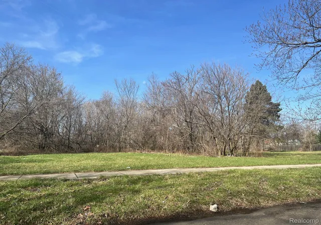 2nd image of 3545 Lovett St, Detroit, MI 48210 | MLS# 20250023687