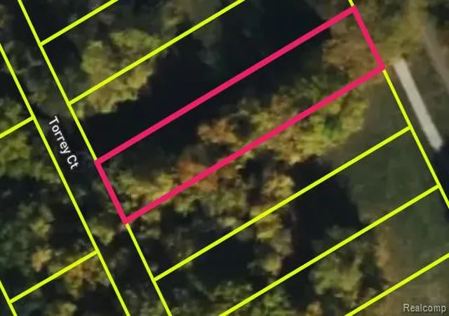 Photo 2 of Land for sale at 3549 Lovett St, Detroit, MI 48210 | MLS# 20250023704 | Listing updated on 2026-03-25
