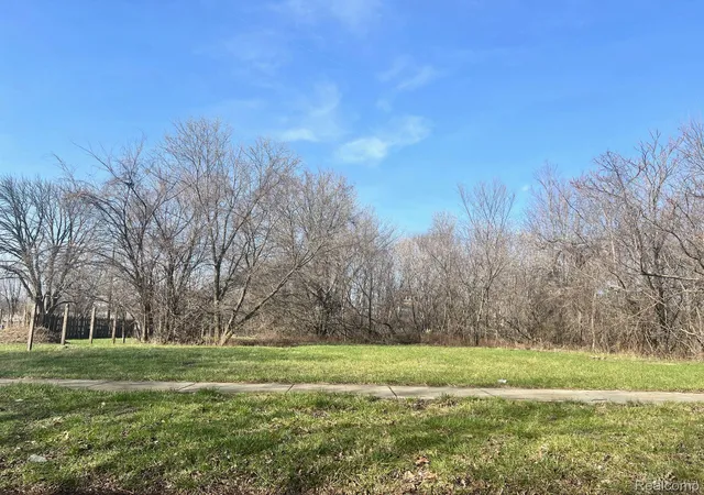 Photo 3 of Land for sale at 3549 Lovett St, Detroit, MI 48210 | MLS# 20250023704 | Listing updated on 2026-03-25