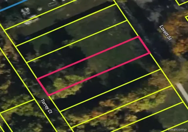 Photo 2 of Land for sale at 3561 Lovett St, Detroit, MI 48210 | MLS# 20250023714 | Listing updated on 2026-03-25