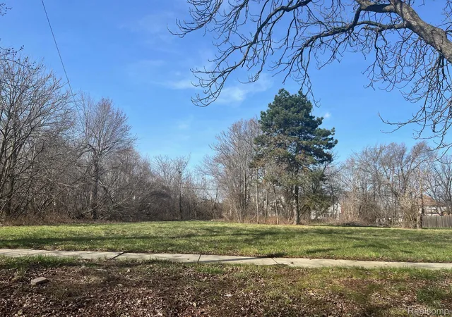 Photo 3 of Land for sale at 3561 Lovett St, Detroit, MI 48210 | MLS# 20250023714 | Listing updated on 2026-03-25