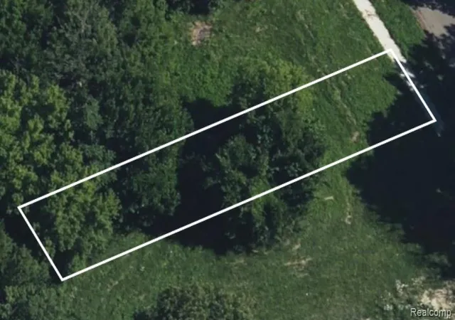 Photo 3 of Land for sale at 3561 Lovett St, Detroit, MI 48210 | MLS# 20250023714 | Listing updated on 2026-03-25