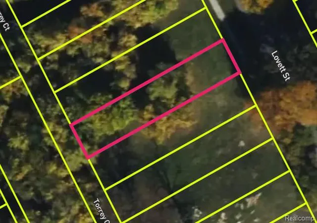 Photo 4 of Land for sale at 3561 Lovett St, Detroit, MI 48210 | MLS# 20250023714 | Listing updated on 2026-03-25