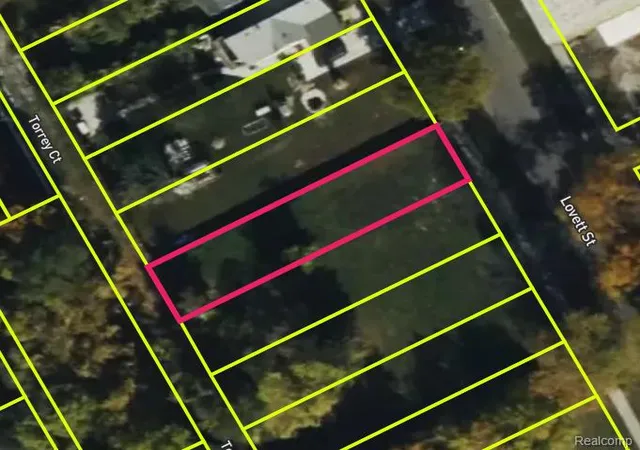 Photo 3 of Land for sale at 3573 Lovett St, Detroit, MI 48210 | MLS# 20250023729 | Listing updated on 2026-03-25