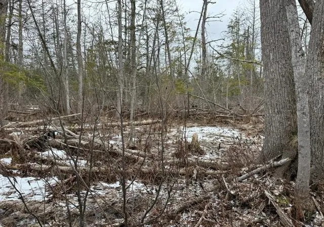 2nd image of 000 Pioneer Rd, Beulah, MI 49617 | MLS# 78080055505