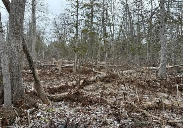 3rd image of 000 Pioneer Rd, Beulah, MI 49617 | MLS# 78080055505