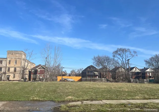Homes for sale in Detroit, MI | 3645 E Palmer St, Detroit, MI 48211 | MLS# 20250023923