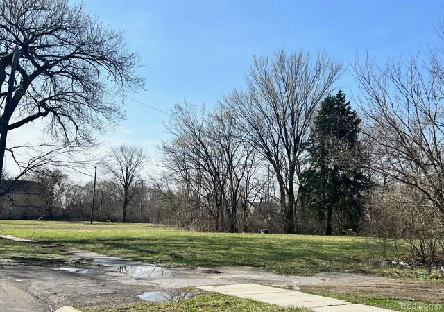 Photo 3 of Land for sale at 5143 Bangor St, Detroit, MI 48210 | MLS# 20250023936 | Listing updated on 2026-03-25