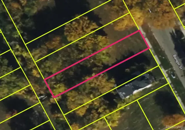 Photo 4 of Land for sale at 5143 Bangor St, Detroit, MI 48210 | MLS# 20250023936 | Listing updated on 2026-03-25