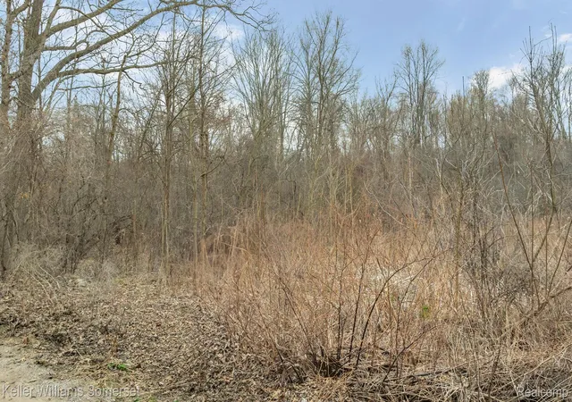 Photo 3 of Land for sale at 000 Lakeview Dr, White Lake Charter Township Oakland, MI 48386 | MLS# 20250024101 | Listing updated on 2026-08-10