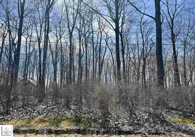 2nd image of Schoolcraft Dr, Davison, MI 48423 | MLS# 5050170914