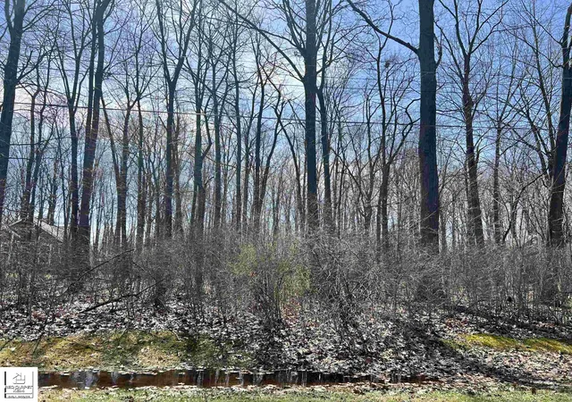 3rd image of Schoolcraft Dr, Davison, MI 48423 | MLS# 5050170914