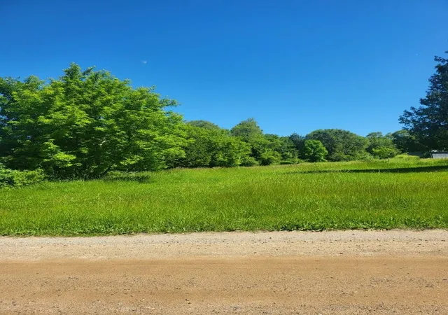 4th image of 4957 E Valley Rd, Mount Pleasant, MI 48858 | MLS# 79080055777