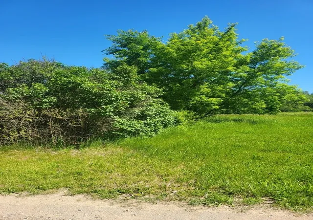 5th image of 4957 E Valley Rd, Mount Pleasant, MI 48858 | MLS# 79080055777