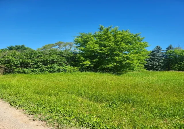 7th image of 4957 E Valley Rd, Mount Pleasant, MI 48858 | MLS# 79080055777