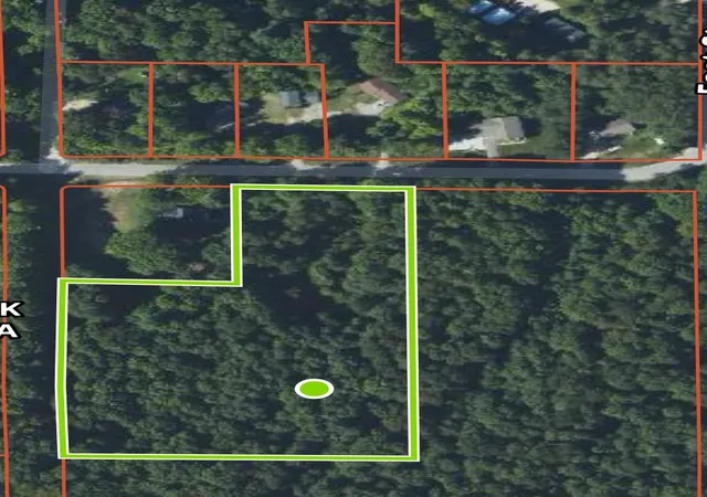 21st image of 00 River St, Benzonia, MI 49616 | MLS# 78080055782