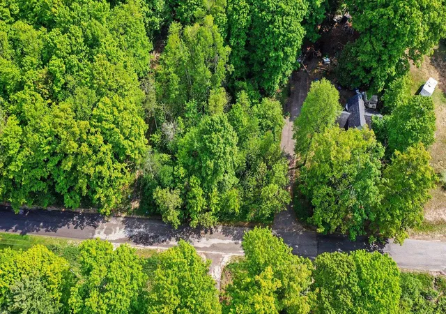 3rd image of 00 River St, Benzonia, MI 49616 | MLS# 78080055782
