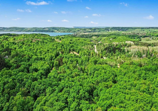 4th image of 00 River St, Benzonia, MI 49616 | MLS# 78080055782