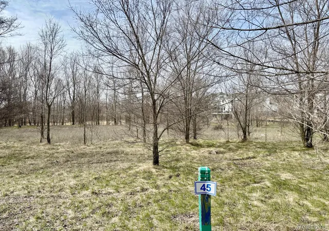 3rd image of 4448 Ford Ave, Linden, MI 48451 | MLS# 20250026001