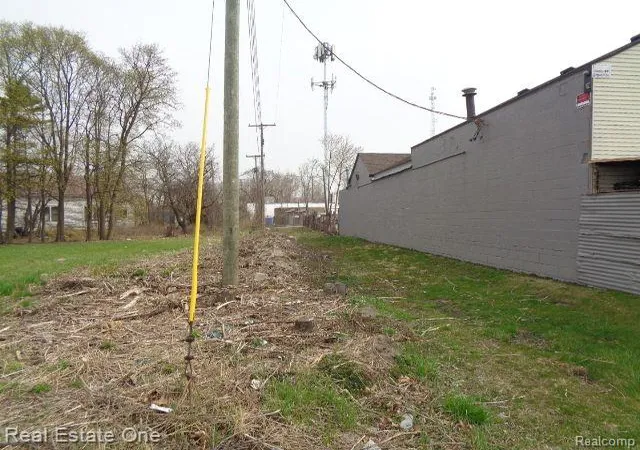 Photo 2 of Land for sale at 11638 Saint Louis St, Hamtramck, MI 48212 | MLS# 20250027437 | Listing updated on 2026-06-22