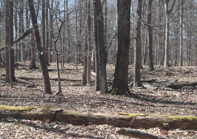 5th image of Lot 4 Crystal View, Beulah, MI 49617 | MLS# 78080055988