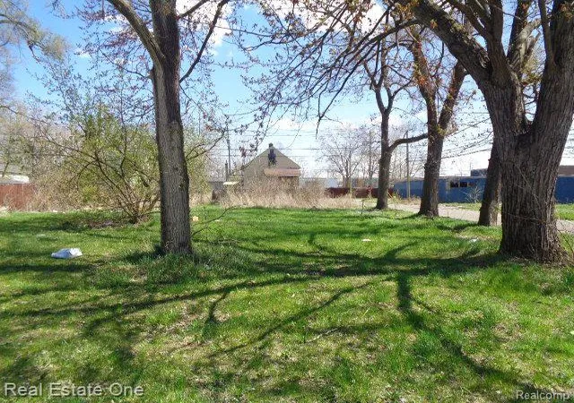 Photo 3 of Land for sale at 11808 Saint Louis St, Hamtramck, MI 48212 | MLS# 20250027987 | Listing updated on 2026-04-21