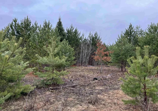 1st image of 10299 Levi Ln, Kingsley, MI 49649 | MLS# 78080056095