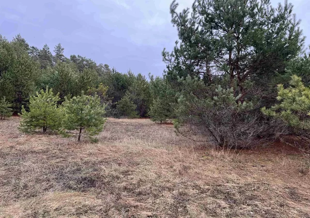 4th image of 10299 Levi Ln, Kingsley, MI 49649 | MLS# 78080056095