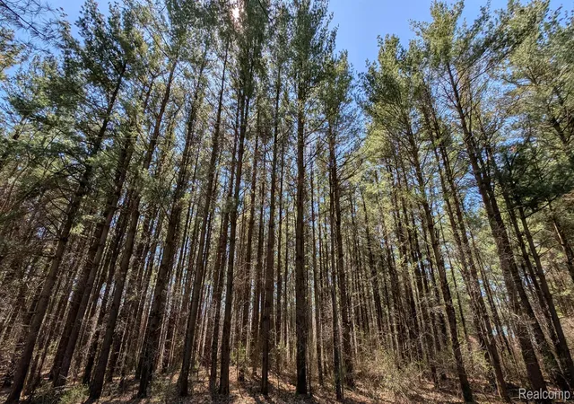 Photo 1 of Sale Pending at 3665 Arivaca Dr, Millington, MI 48746 | MLS# 20250028722 | Listing updated on 2026-07-07