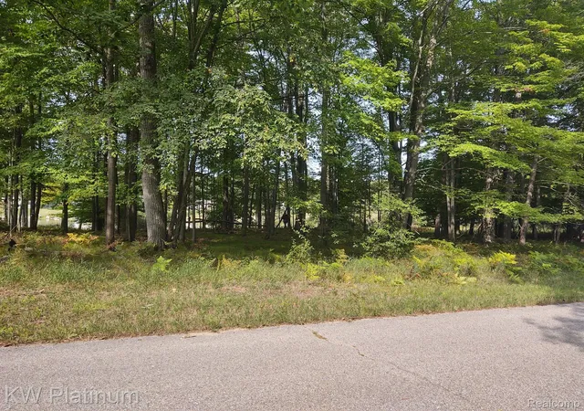 2nd image of 9552 Fawn Lake Dr, Stanwood, MI 49346 | MLS# 20250029501