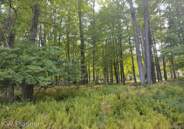 Photo 4 of Land for sale at 9552 Fawn Lake Dr, Stanwood, MI 49346 | MLS# 20250029501 | Listing updated on 2026-07-21
