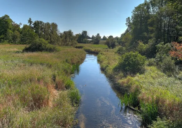 Photo 1 of Land for sale at E 34 Road, Cadillac, MI 49601 | MLS# 78080056297 | Listing updated on 2026-05-21