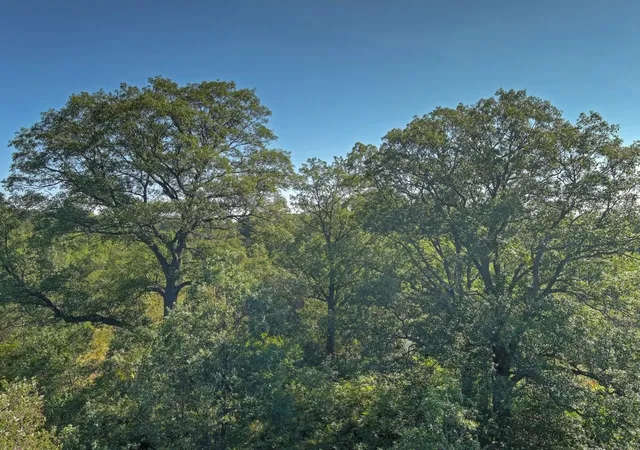 Photo 3 of Land for sale at E 34 Road, Cadillac, MI 49601 | MLS# 78080056297 | Listing updated on 2026-05-21
