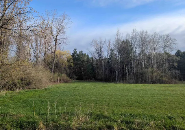 Homes for sale in Arenac Township Arenac, MI | N/a Pine St, Arenac Township Arenac, MI 48749 | MLS# 77080056581