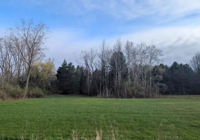 Homes for sale in Arenac Township Arenac, MI | N/A Pine St, Arenac Township Arenac, MI 48749 | MLS# 77080056581