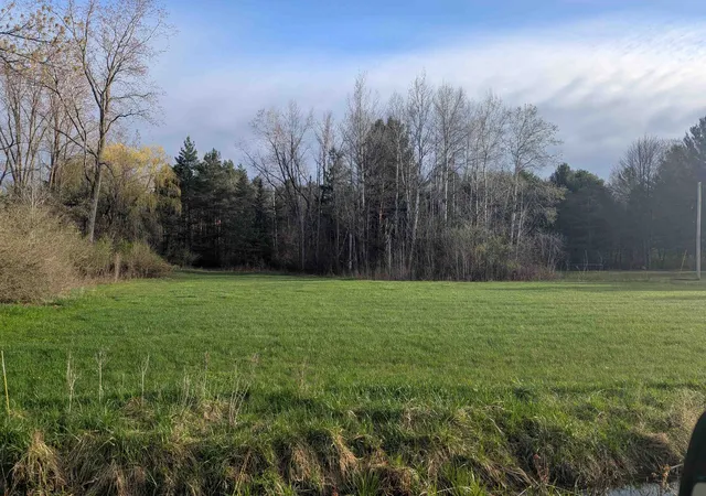 Homes for sale in Arenac Township Arenac, MI | N/A Pine St, Arenac Township Arenac, MI 48749 | MLS# 77080056581