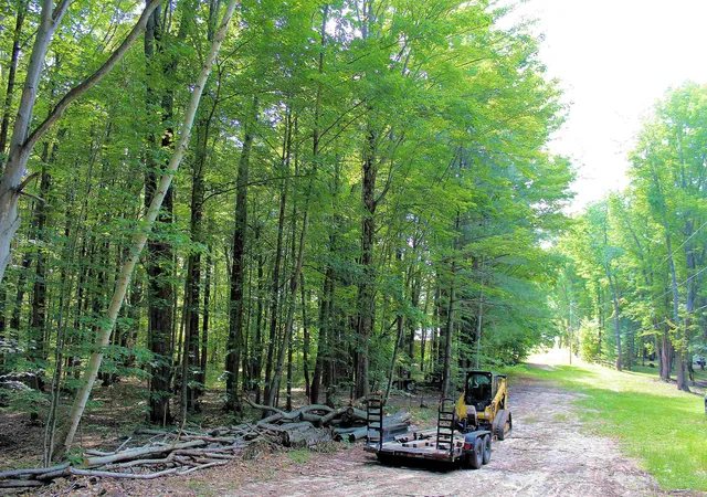Photo 1 of Land for sale at 00 Ne Chwastek Rd, Kalkaska, MI 49646 | MLS# 78080056834 | Listing updated on 2026-07-17
