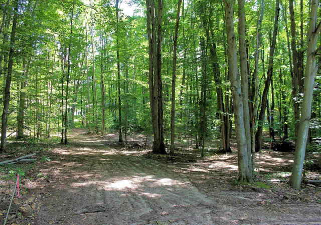 Photo 2 of Land for sale at 00 Ne Chwastek Rd, Kalkaska, MI 49646 | MLS# 78080056834 | Listing updated on 2026-07-17
