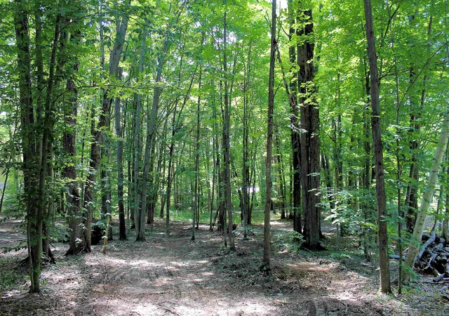Photo 4 of Land for sale at 00 Ne Chwastek Rd, Kalkaska, MI 49646 | MLS# 78080056834 | Listing updated on 2026-07-17