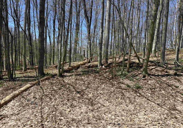 Photo 3 of Land for sale at Lot 38 Courchevel Ln, Bellaire, MI 49615 | MLS# 78080056995 | Listing updated on 2026-05-14