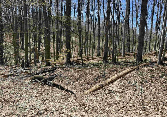 Photo 3 of Land for sale at Lot 38 Courchevel Ln, Bellaire, MI 49615 | MLS# 78080056995 | Listing updated on 2026-05-14