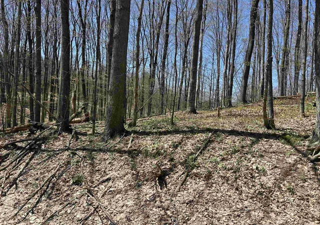 Photo 4 of Land for sale at Lot 38 Courchevel Ln, Bellaire, MI 49615 | MLS# 78080056995 | Listing updated on 2026-05-14