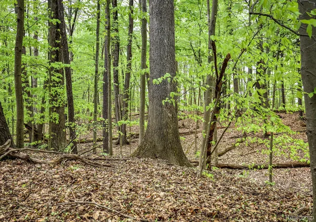 Photo 1 of Land for sale at 0 Michael St, Ortonville, MI 48462 | MLS# 20250035604 | Listing updated on 2026-08-13